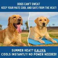 KALUVA - Cooling Mat